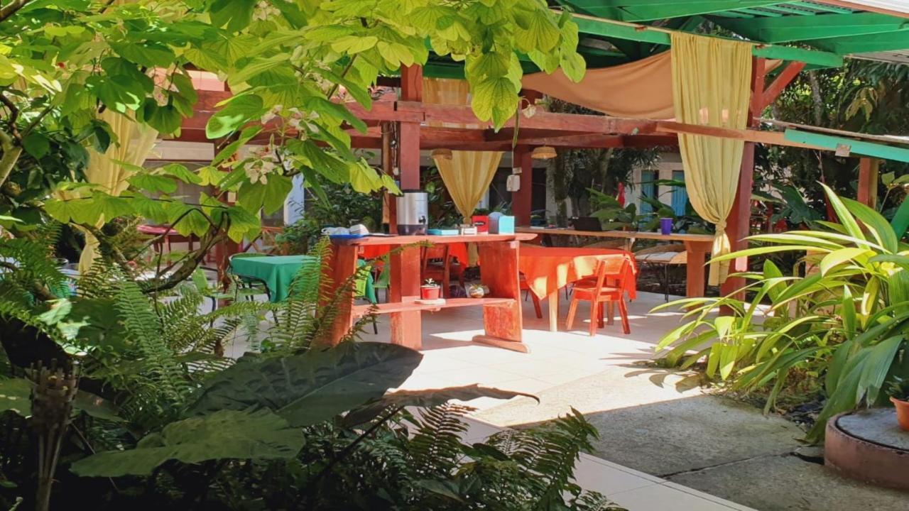 Cabinas Palmer Makanda Cahuita Exterior foto
